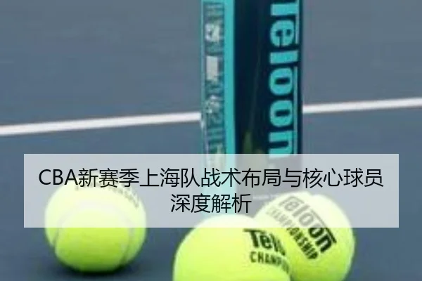 CBA新赛季上海队战术布局与核心球员深度解析